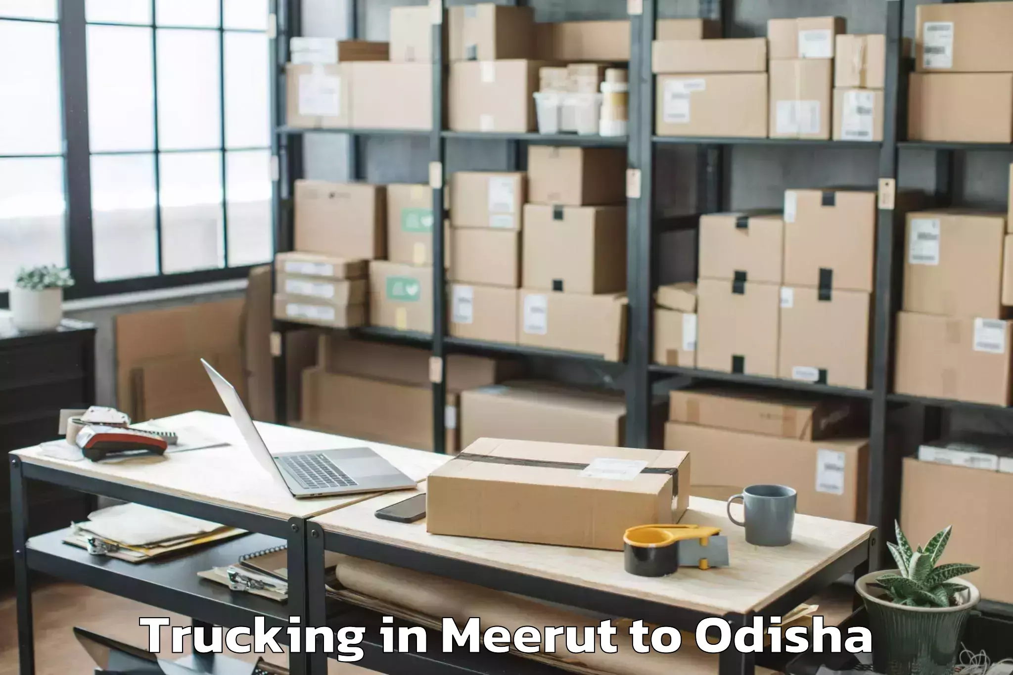 Book Meerut to Golanthara Trucking Online